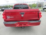 Used 2007 Dodge Dakota SLT image 4
