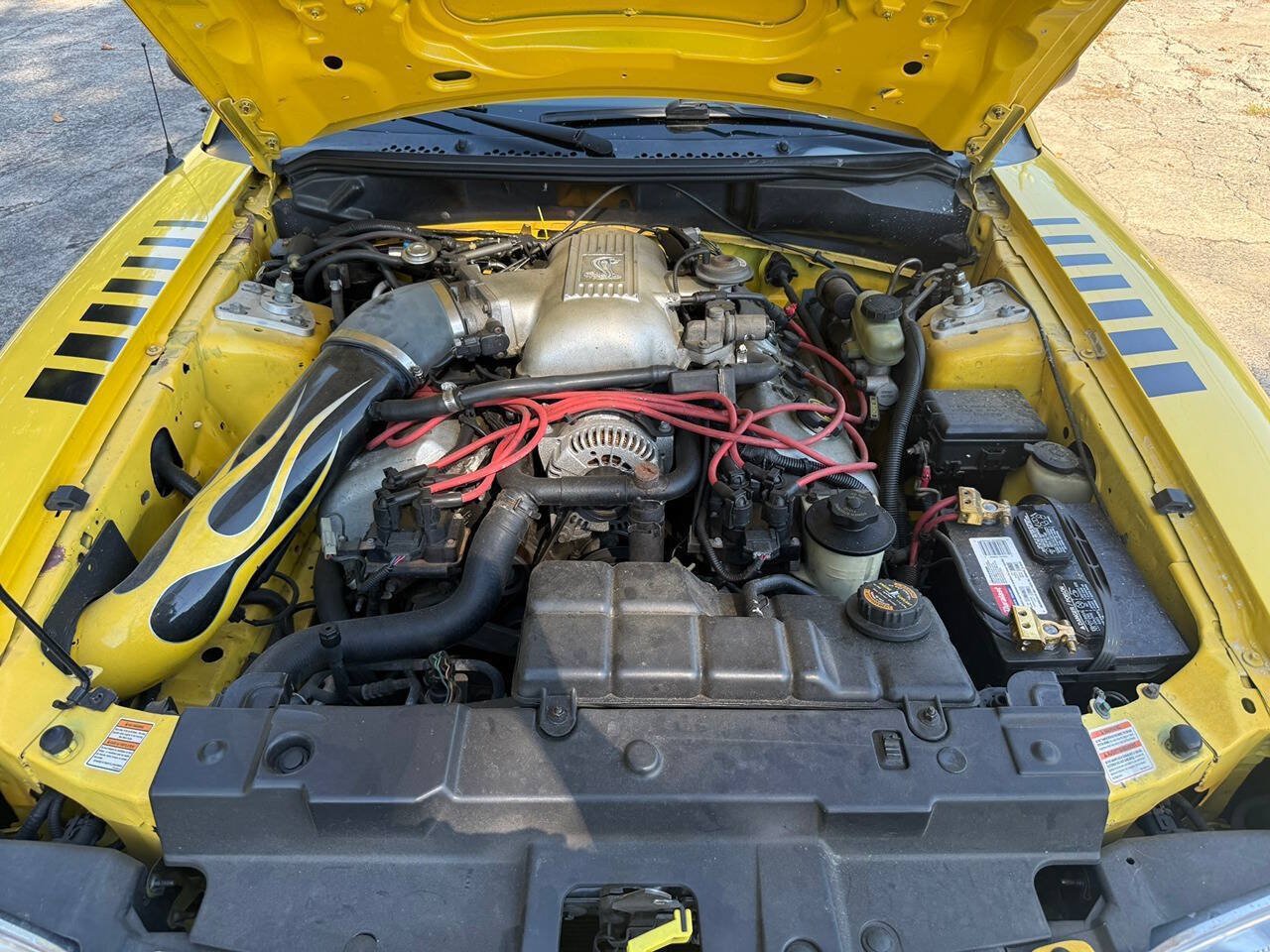 Used 1998 Ford Mustang Cobra RWD image 5