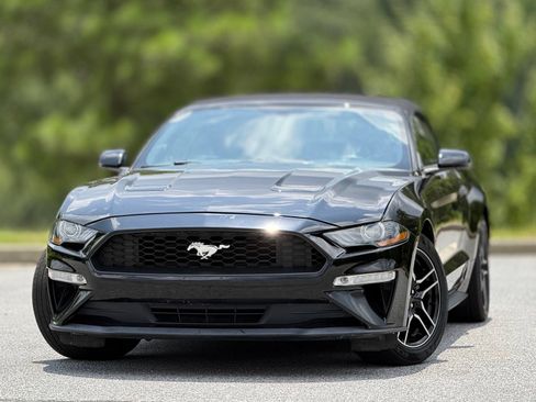 Used 2019 Ford Mustang Premium RWD image 2