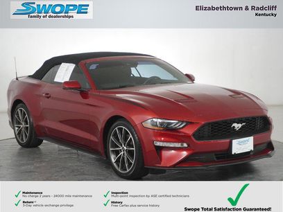 Used 2019 Ford Mustang Premium w/ Equipment Group 201A