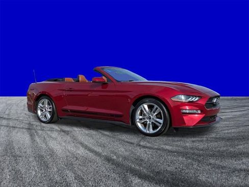 Used 2019 Ford Mustang Premium w/ Pony Package image 2
