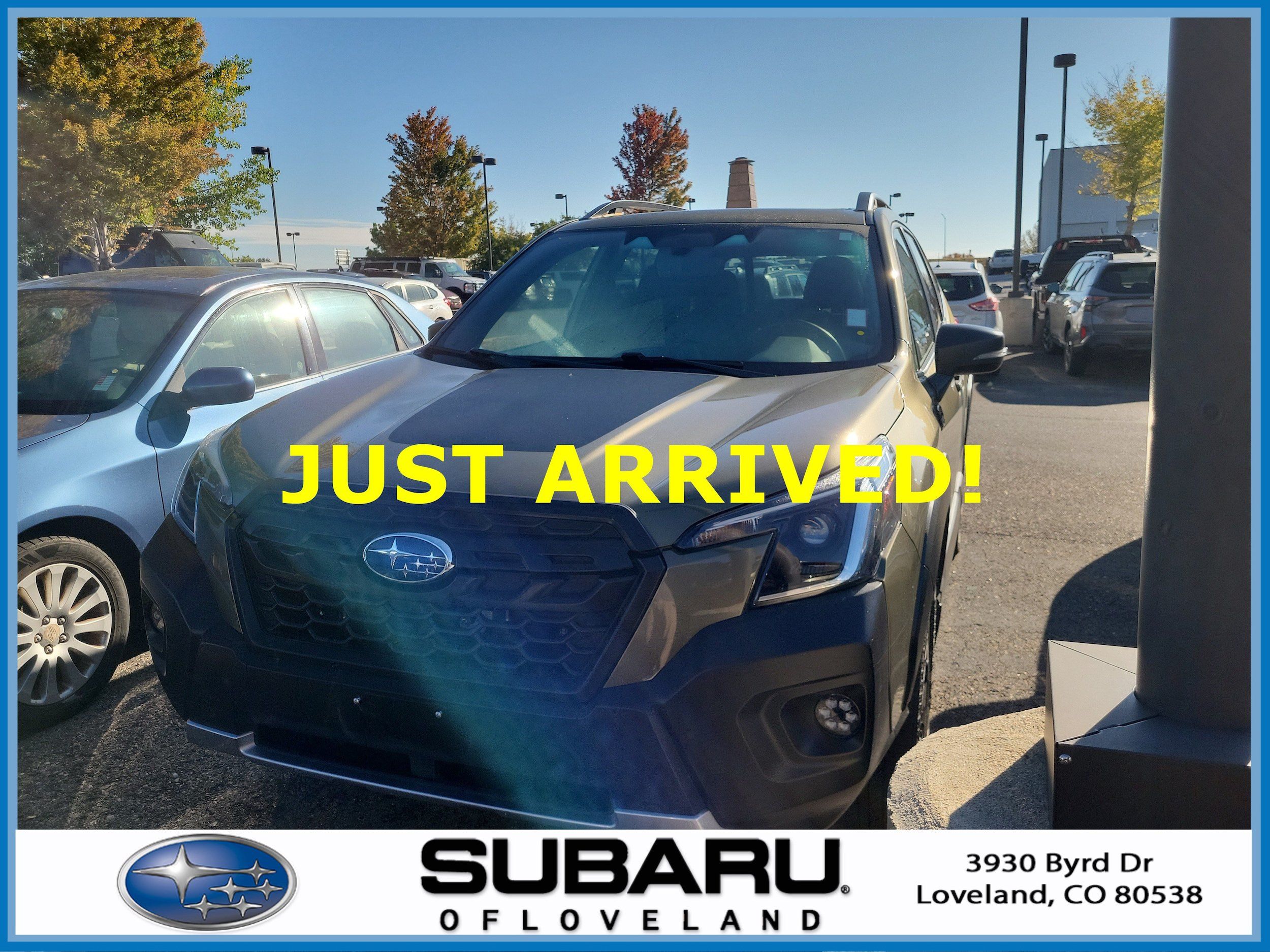 Used 2023 Subaru Forester Wilderness AWD/4WD image 1