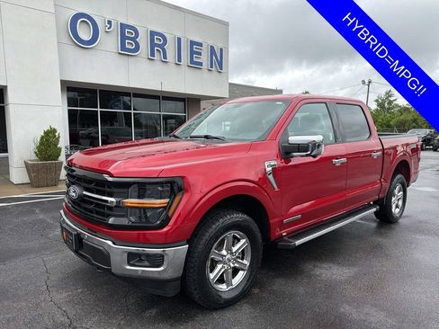 Used 2024 Ford F150 XLT w/ Equipment Group 302A MID AWD/4WD image 1