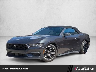 Used 2024 Ford Mustang Premium