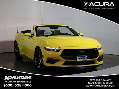 Used 2024 Ford Mustang Premium