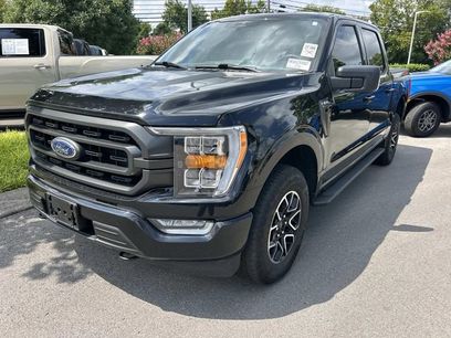 Used 2023 Ford F150 XLT w/ Equipment Group 302A High