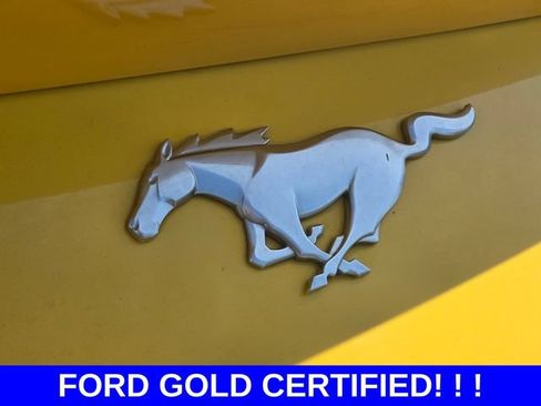 Certified 2024 Ford Mustang Premium RWD image 13