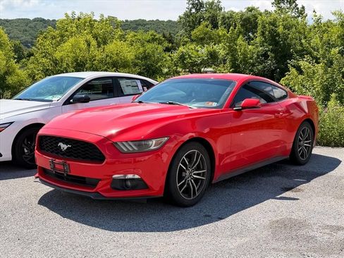 Used 2015 Ford Mustang Premium w/ Equipment Group 201A RWD image 2