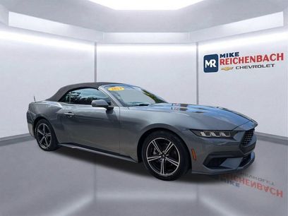 Used 2024 Ford Mustang Premium