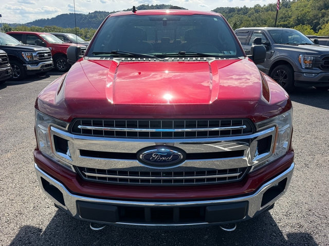 Used 2019 Ford F150 XLT w/ Equipment Group 302A Luxury AWD/4WD image 12