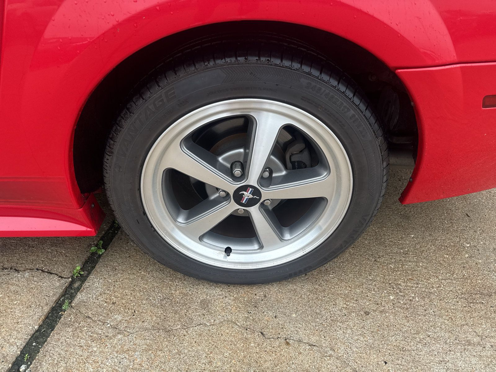 Used 2004 Ford Mustang Mach 1 RWD image 13