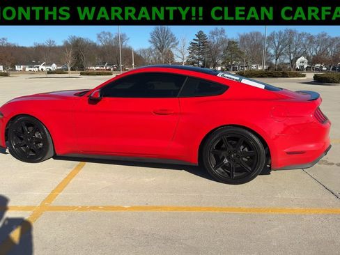 Used 2019 Ford Mustang Coupe w/ Black Accent Package RWD image 5