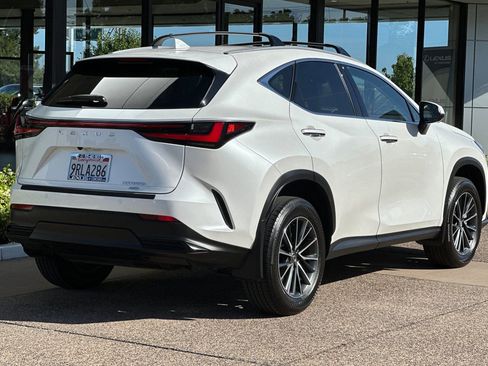 Used 2025 Lexus NX 350h AWD w/ Cold Area Package image 4