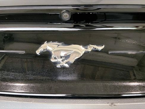 Used 2022 Ford Mustang Premium w/ Equipment Group 201A RWD image 9