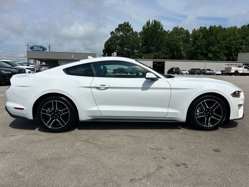 Used 2023 Ford Mustang Premium image 3