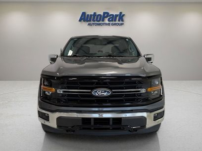 New 2024 Ford F150 XLT w/ Equipment Group 303A High