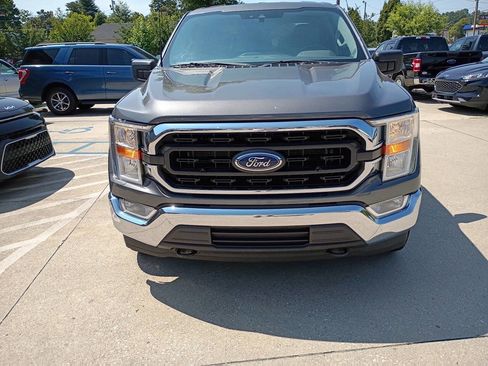 Used 2022 Ford F150 XLT w/ Equipment Group 301A Mid image 3