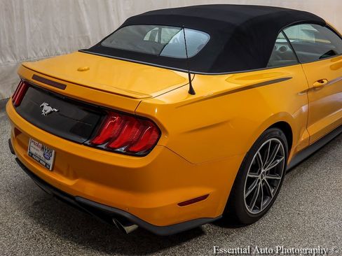 Used 2019 Ford Mustang Premium w/ Equipment Group 201A RWD image 9
