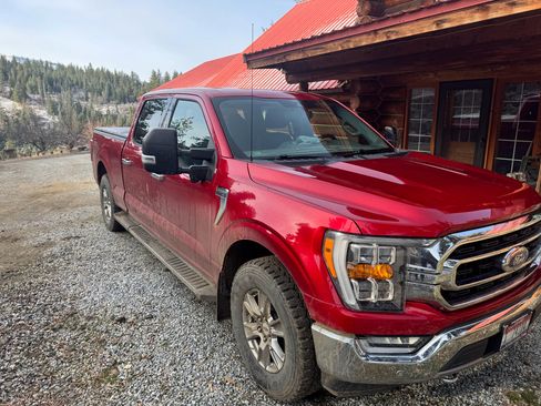 Used 2021 Ford F150 XLT w/ Equipment Group 302A High image 2