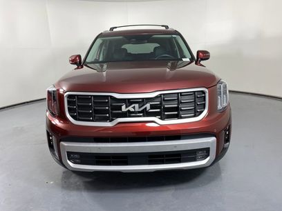 Certified 2024 Kia Telluride SX