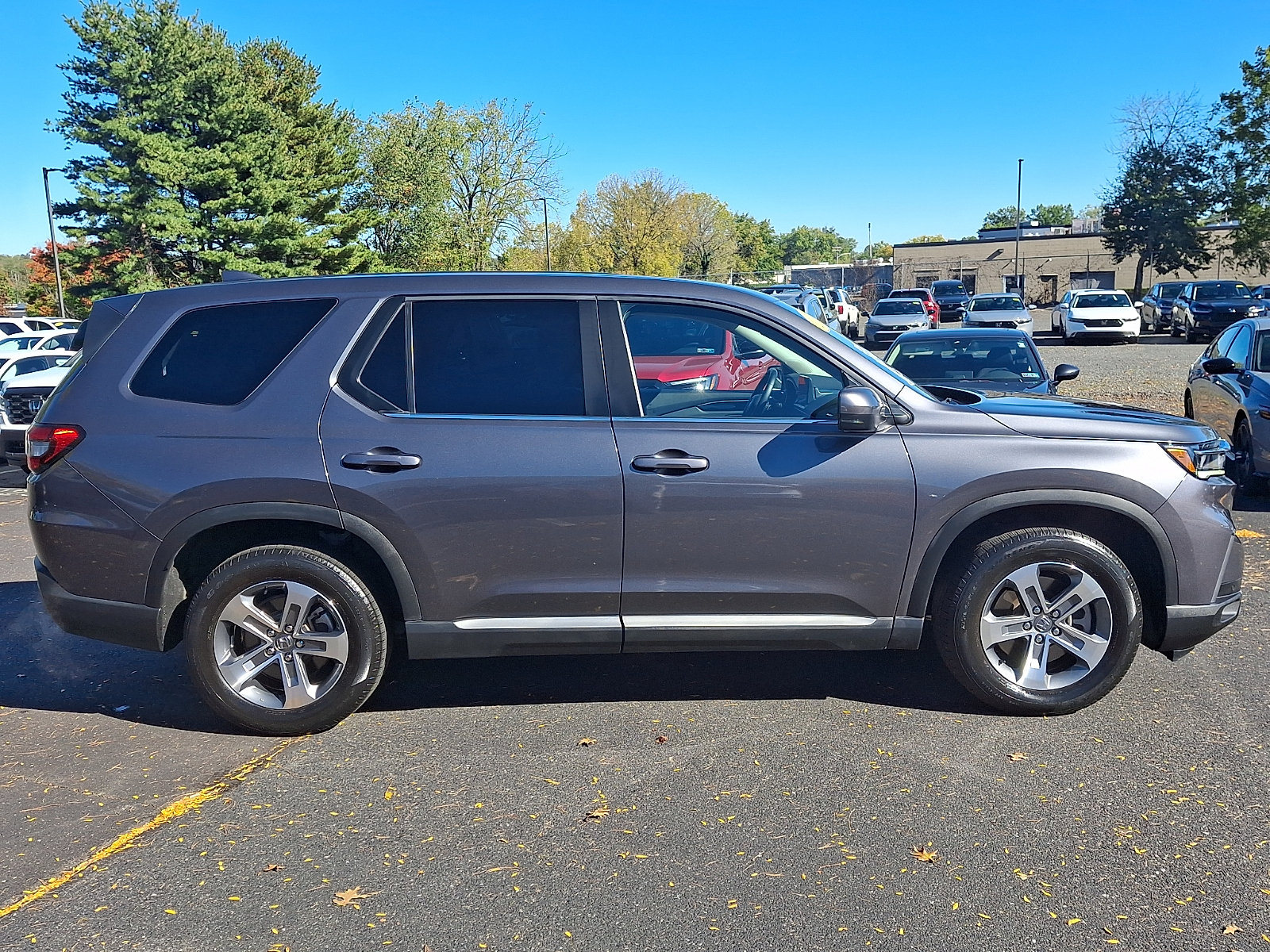 Used 2025 Honda Pilot EX-L image 7
