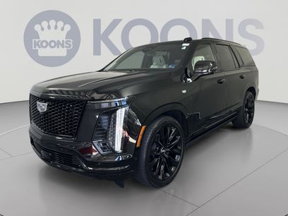 Used 2026 Cadillac Escalade Platinum Sport w/ LPO, ONYX Package