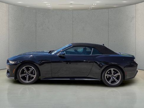 Used 2025 Ford Mustang Premium RWD image 2