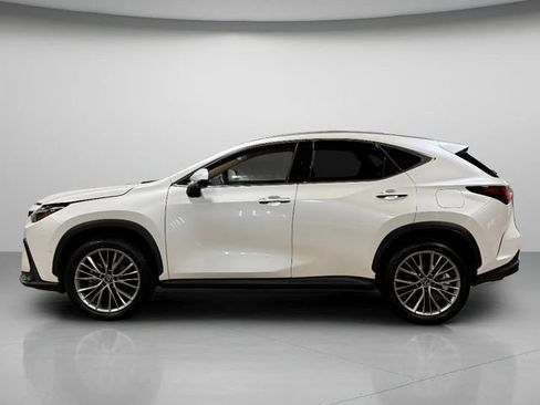 Used 2024 Lexus NX 350h AWD w/ Vision Package image 6