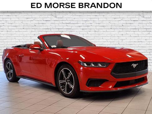 Used 2024 Ford Mustang Premium image 6