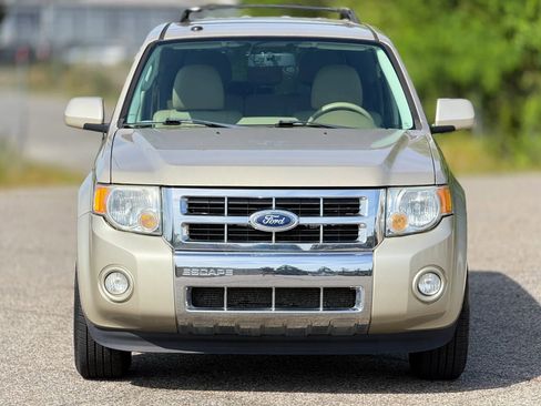 Used 2010 Ford Escape Limited image 5