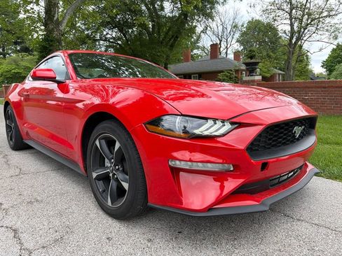 Used 2022 Ford Mustang Coupe RWD image 18