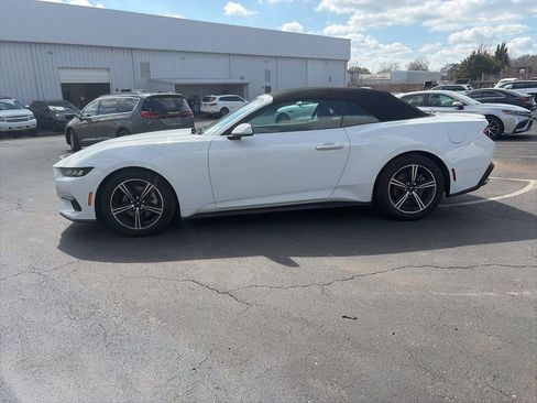 Used 2024 Ford Mustang Premium image 4