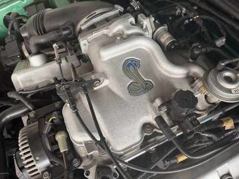 Used 1999 Ford Mustang Cobra RWD image 23