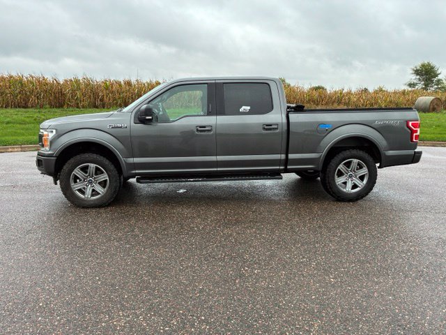 Used 2019 Ford F150 XLT w/ Equipment Group 302A Luxury AWD/4WD image 5