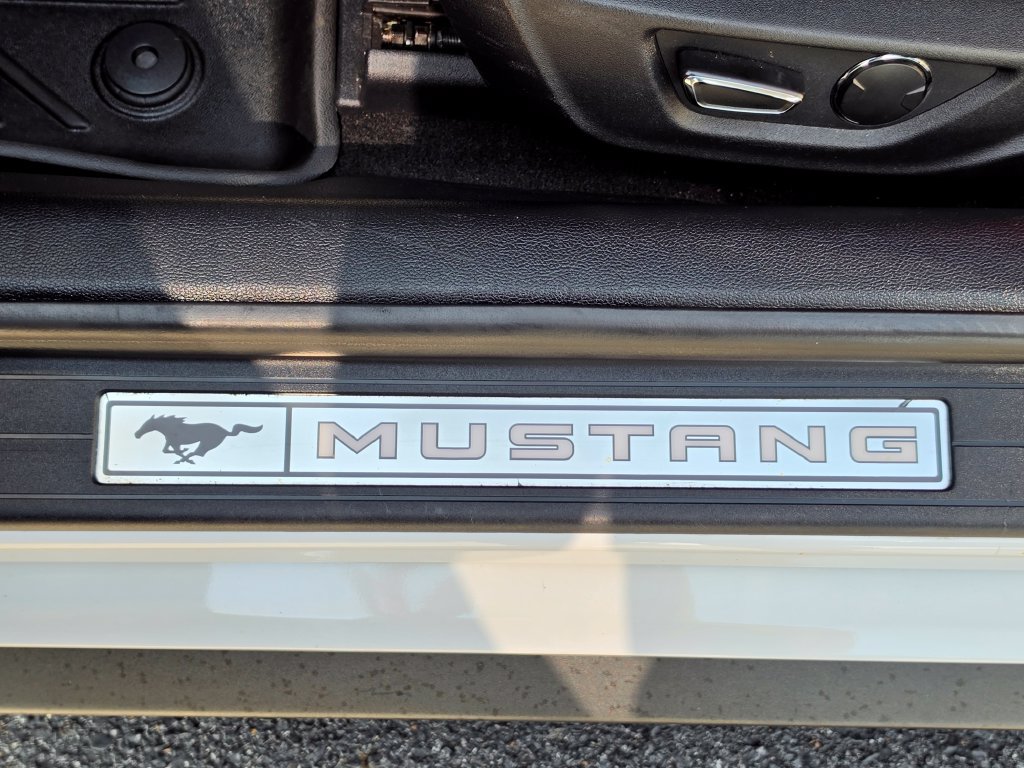 Used 2019 Ford Mustang GT Premium w/ Equipment Group 401A RWD image 31