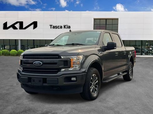 Used 2019 Ford F150 XLT w/ Equipment Group 302A Luxury AWD/4WD image 3