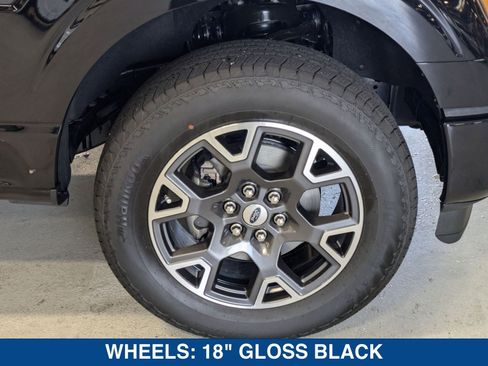 New 2025 Ford F150 STX w/ Equipment Group 200A image 12