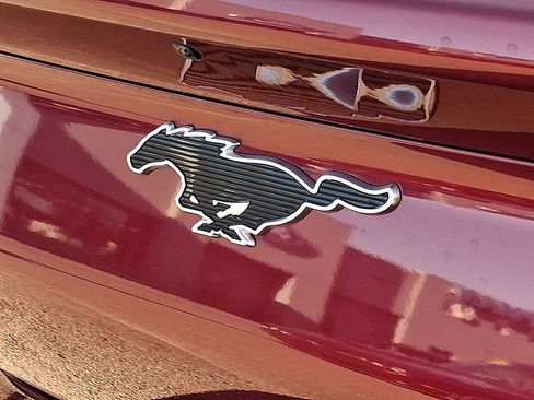 Used 2025 Ford Mustang Mach-E Premium w/ Sport Appearance Package image 30