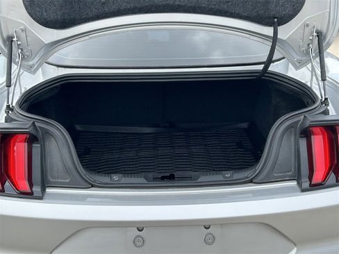 Used 2019 Ford Mustang Premium w/ Ecoboost Performance Package image 12