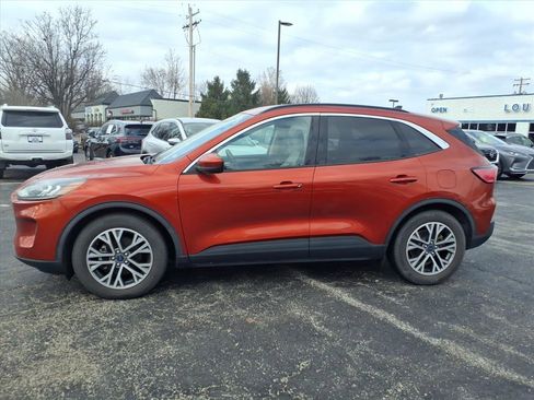 Used 2020 Ford Escape SEL image 35