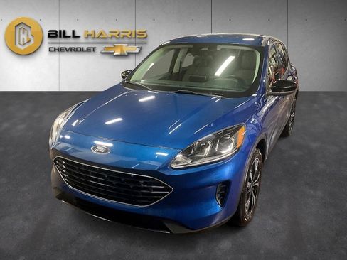 Used 2022 Ford Escape SE w/ SE Sport Appearance Package image 1