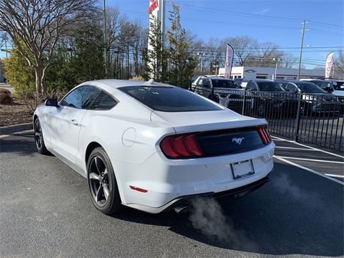 Used 2023 Ford Mustang EcoBoost w/ Equipment Group 101A image 6
