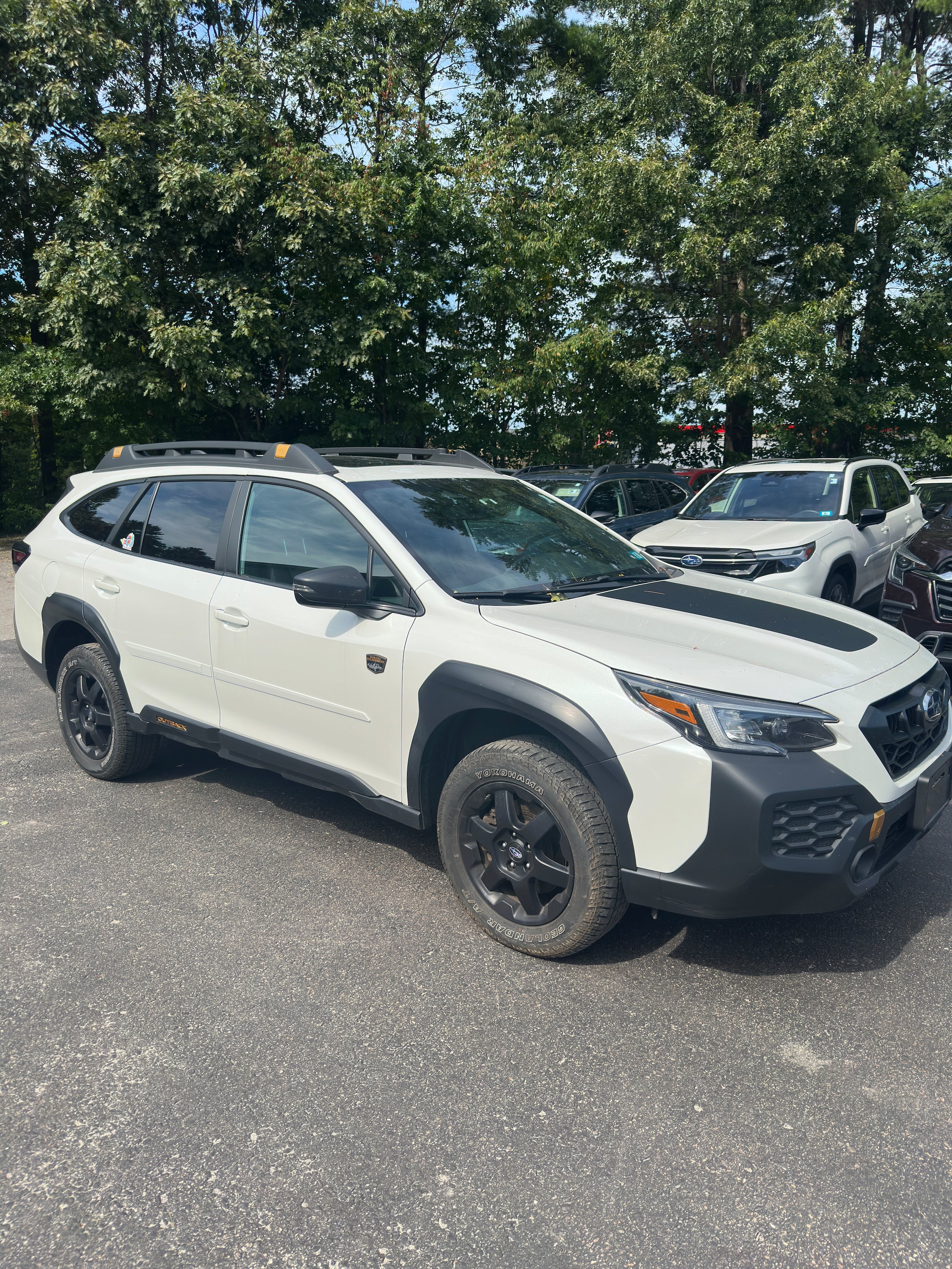 Used 2024 Subaru Outback Wilderness AWD/4WD image 4