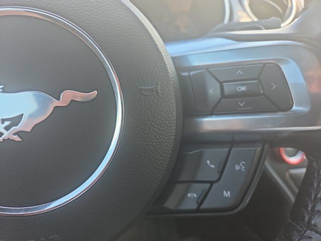 Used 2019 Ford Mustang GT Premium w/ GT Performance Package RWD image 16