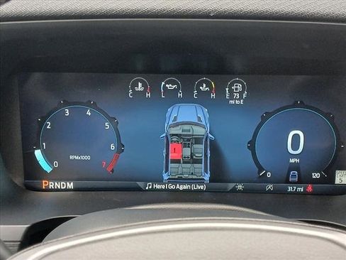 New 2025 Ford F150 XLT w/ Equipment Group 303A High image 19