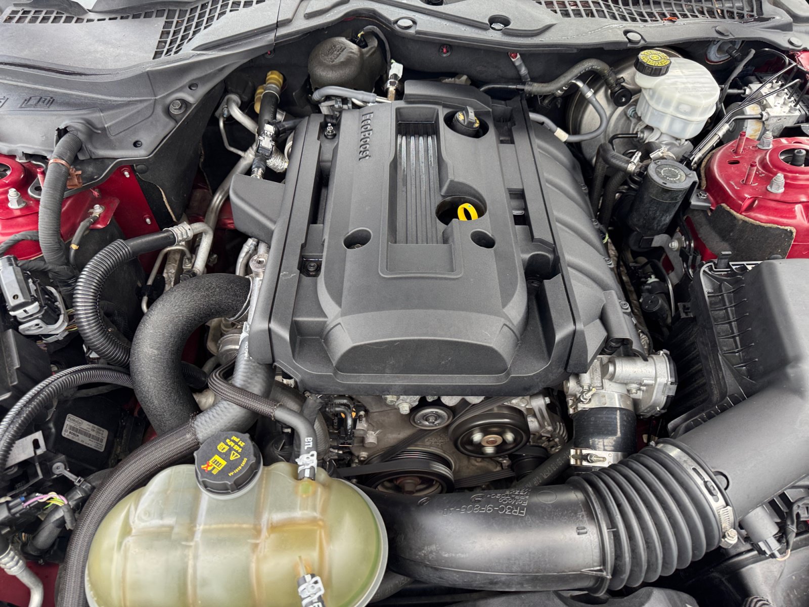 Used 2019 Ford Mustang Coupe w/ Equipment Group 101A RWD image 21