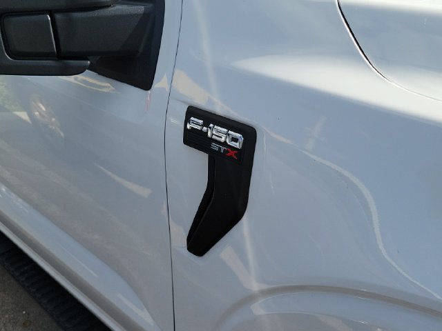 Used 2022 Ford F150 XL w/ STX Appearance Package RWD image 3