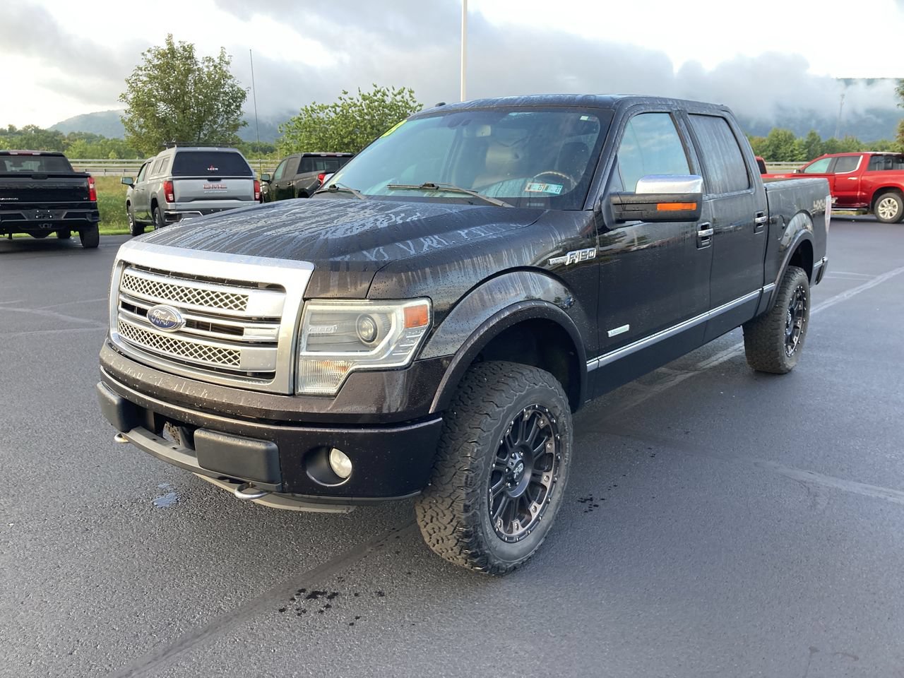 Used 2013 Ford F150 Platinum AWD/4WD image 3