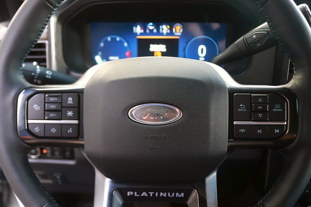 Used 2025 Ford F250 Platinum w/ Tremor Off-Road Package AWD/4WD image 18