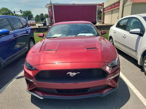 Used 2019 Ford Mustang Premium w/ Equipment Group 201A RWD image 2